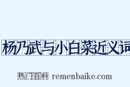 杨乃武与小白菜近义词是什么意思的图片